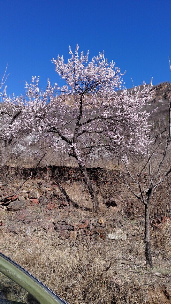 北京太后山外山民俗农家院