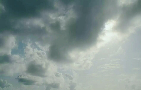立新原始森林景区