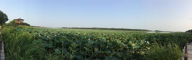 月牙湖自然保护区