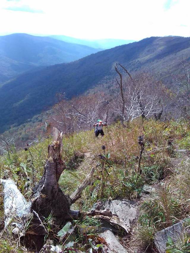 老白山原始生态景区