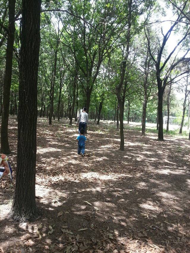 青松岭森林公园