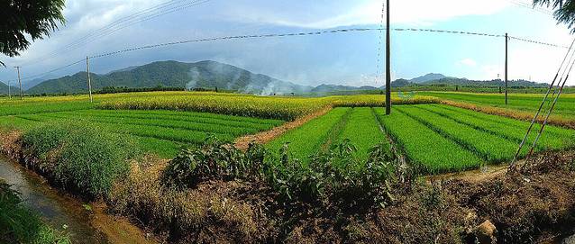 上虞市岭南乡石浪人家