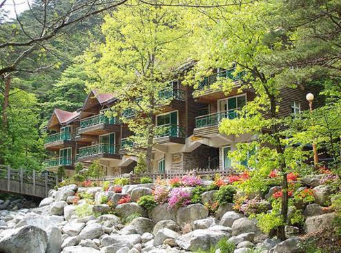 大关岭自然休养林