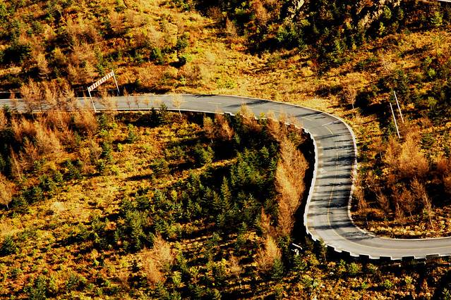 千家坪国家森林公园