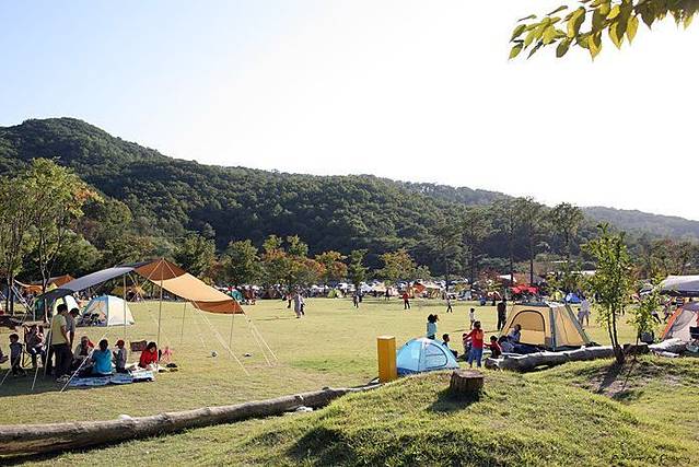 龙仁自然休养林