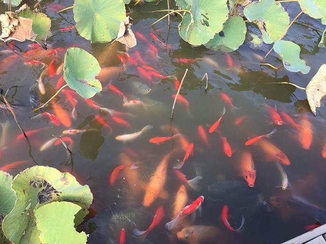 蒲河国家湿地公园