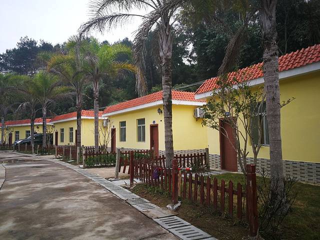 南雄青嶂山温泉旅游度假村