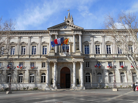 阿维尼翁市政厅旅游景点图片