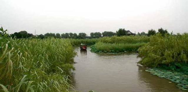 黄天荡湿地公园