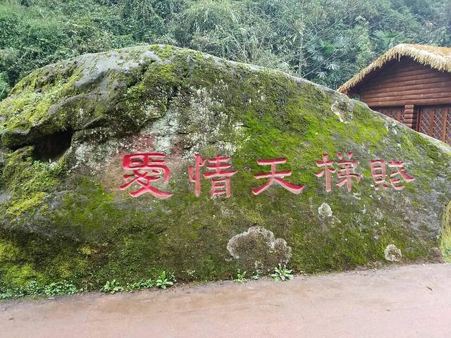 爱情天梯-同心桥