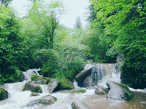 大岭山森林公园旅游景点图片