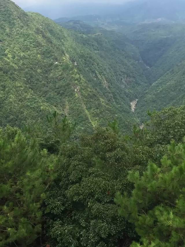 华东大峡谷