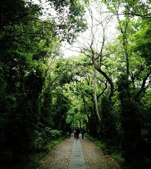 钟山风景区-明东陵遗址公园