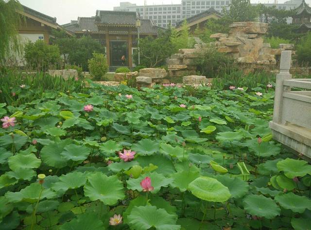 福如东海文化园