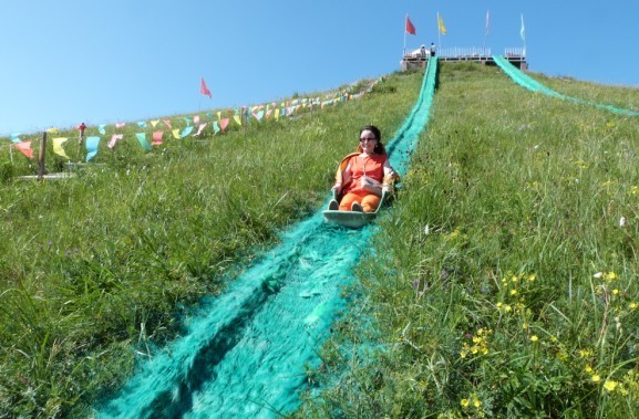 神龙潭风景区-滑草场