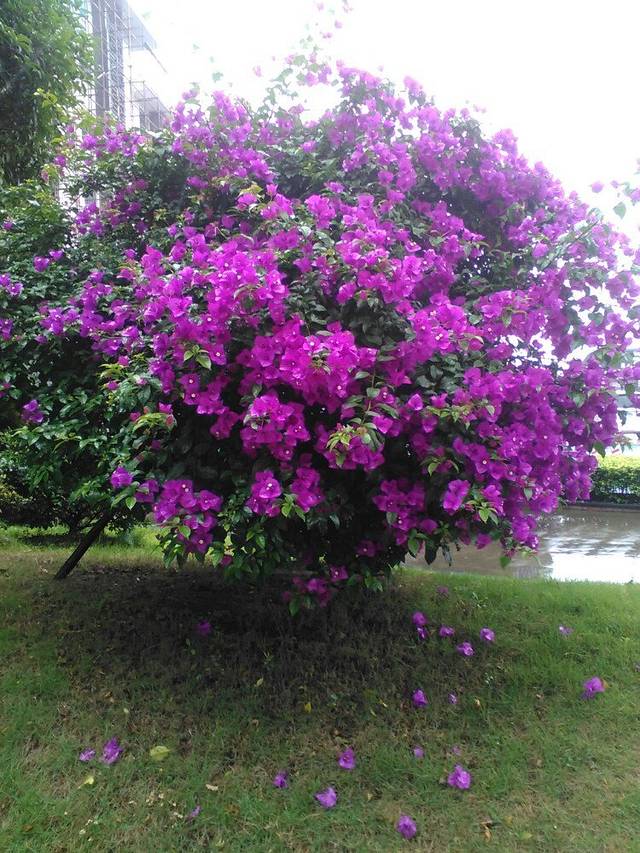 ALIGHT ROOM·拉法耶文化艺术中心