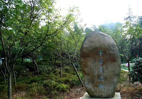 太平镇中日友谊林场