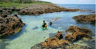 香蕉湾生态保护区