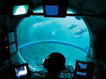 马尔代夫鲸鱼潜艇