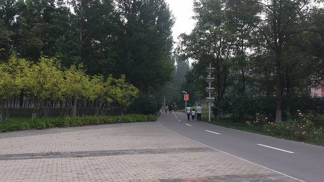 共青滨河森林公园