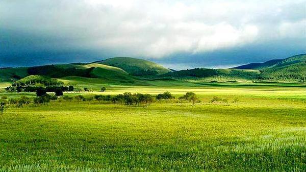 哈达门高原牧场