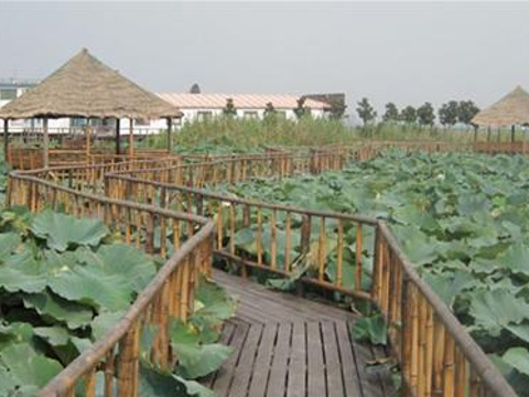 阳澄湖莲花岛诸葛蟹园旅游景点图片