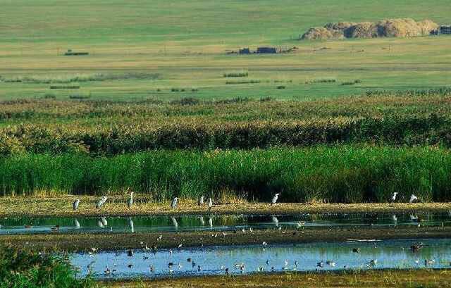 辉河国家级自然保护区