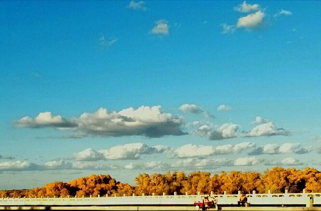 额济纳胡杨英雄影视城