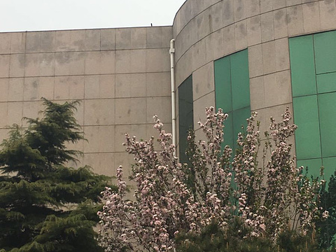 英武山拓展培训基地