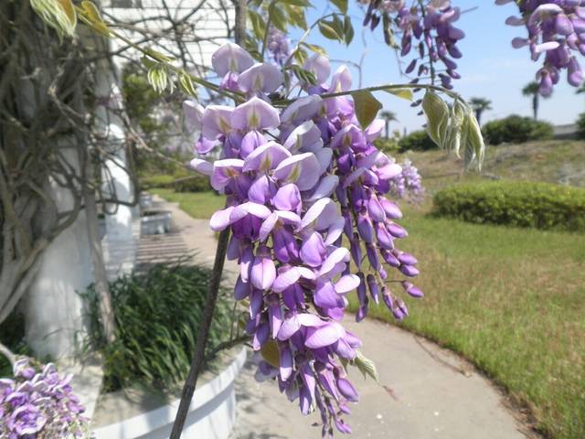 如东县人民公园