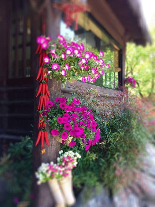 北仑森林植物园