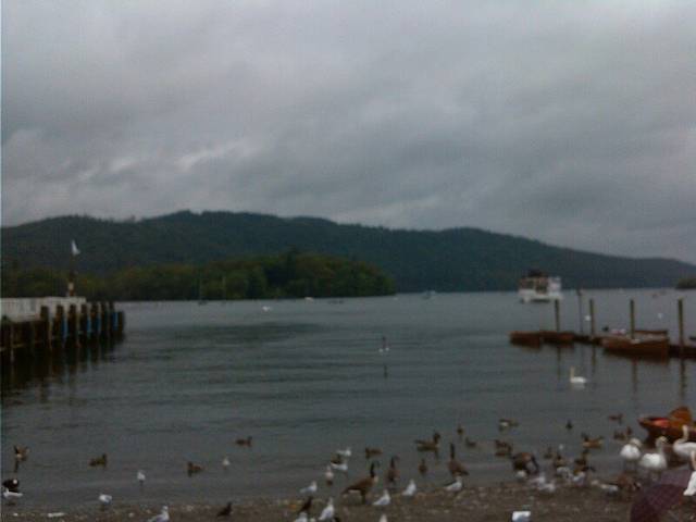 Lake District Wildlife Park