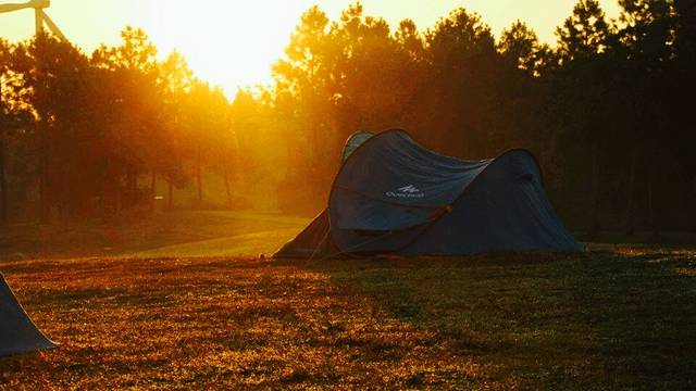 滨海森林公园路亚基地