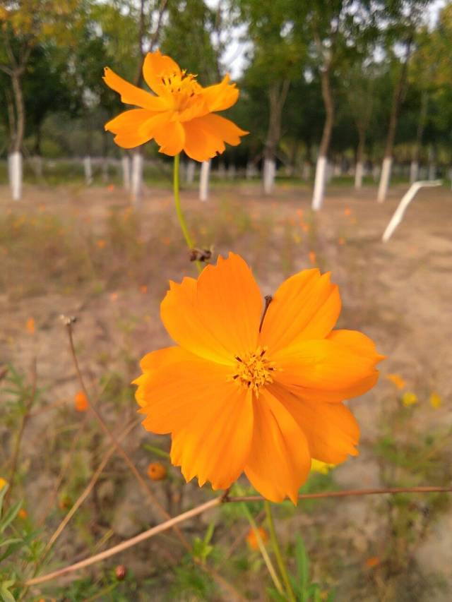 未来科学城滨水公园