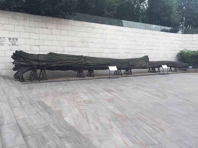 金沙遗址博物馆乌木林