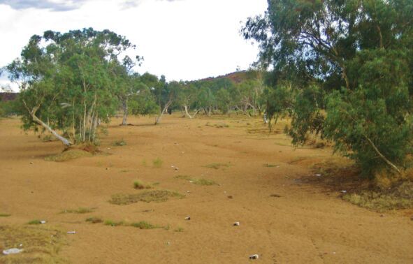 Olive Pink Botanic Garden