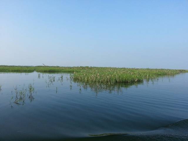 酒埠江国家地质公园