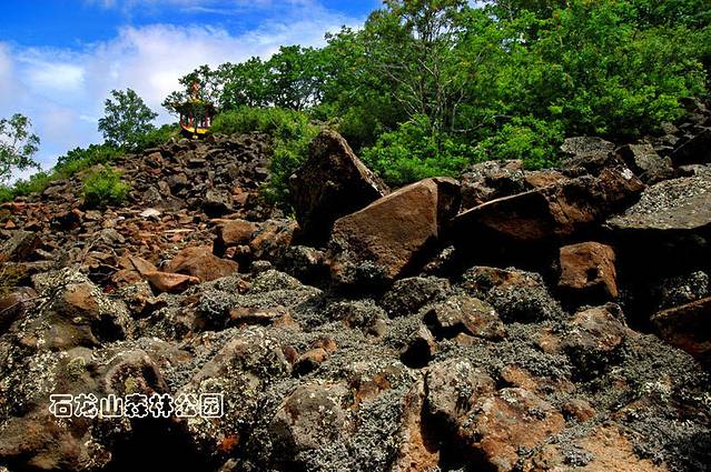 石龙山国家森林公园
