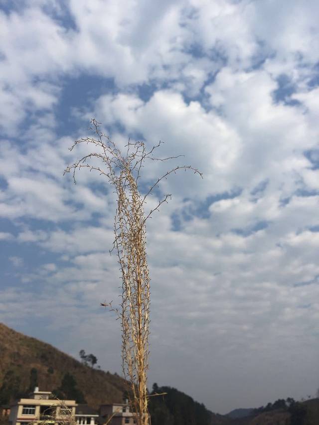 金兰龙王峡漂流