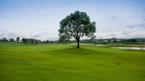 阳江温泉度假村高尔夫