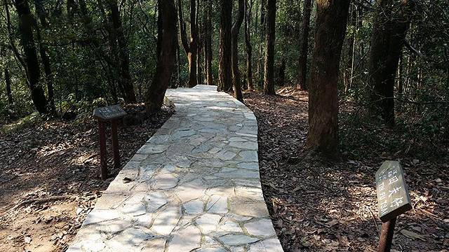 元荃古道郊游径