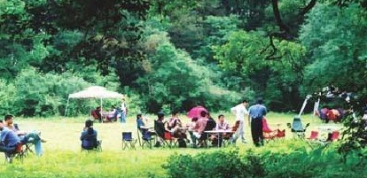 青龙洲野营基地