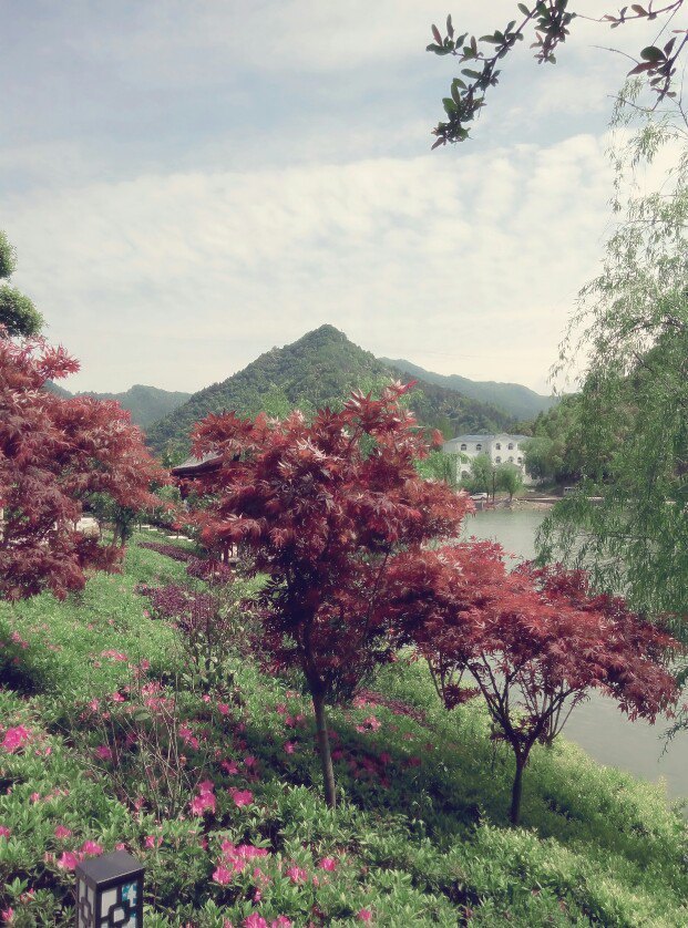 紫薇岛生态旅游度假区