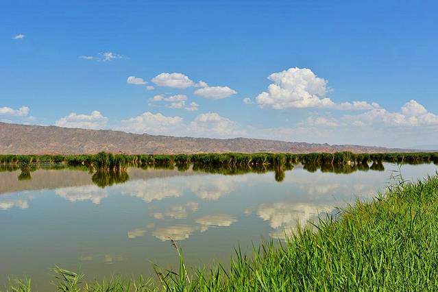 青铜峡鸟岛自然保护区