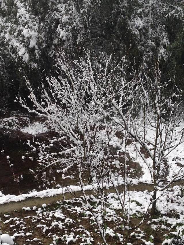 青山岭森林公园