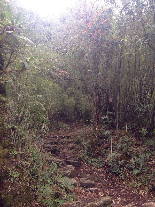 百花岭生态旅游区