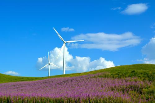 灰腾希勒天然植物园