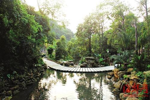 瀑布林休闲观光区