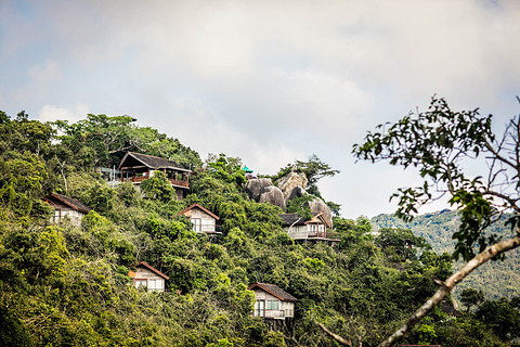 鸟巢度假村