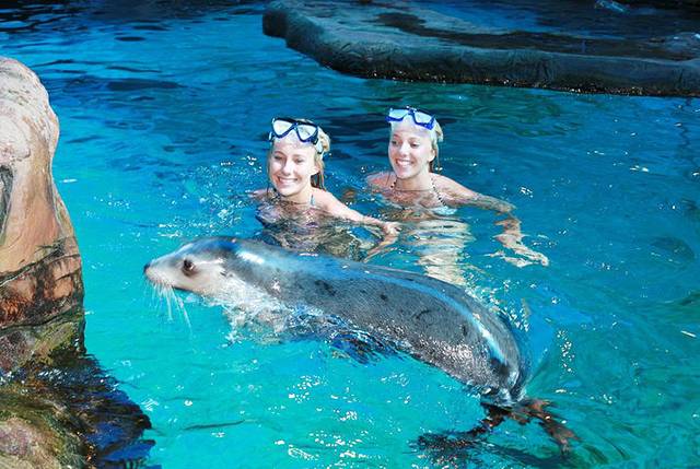 阳光海岸水族馆